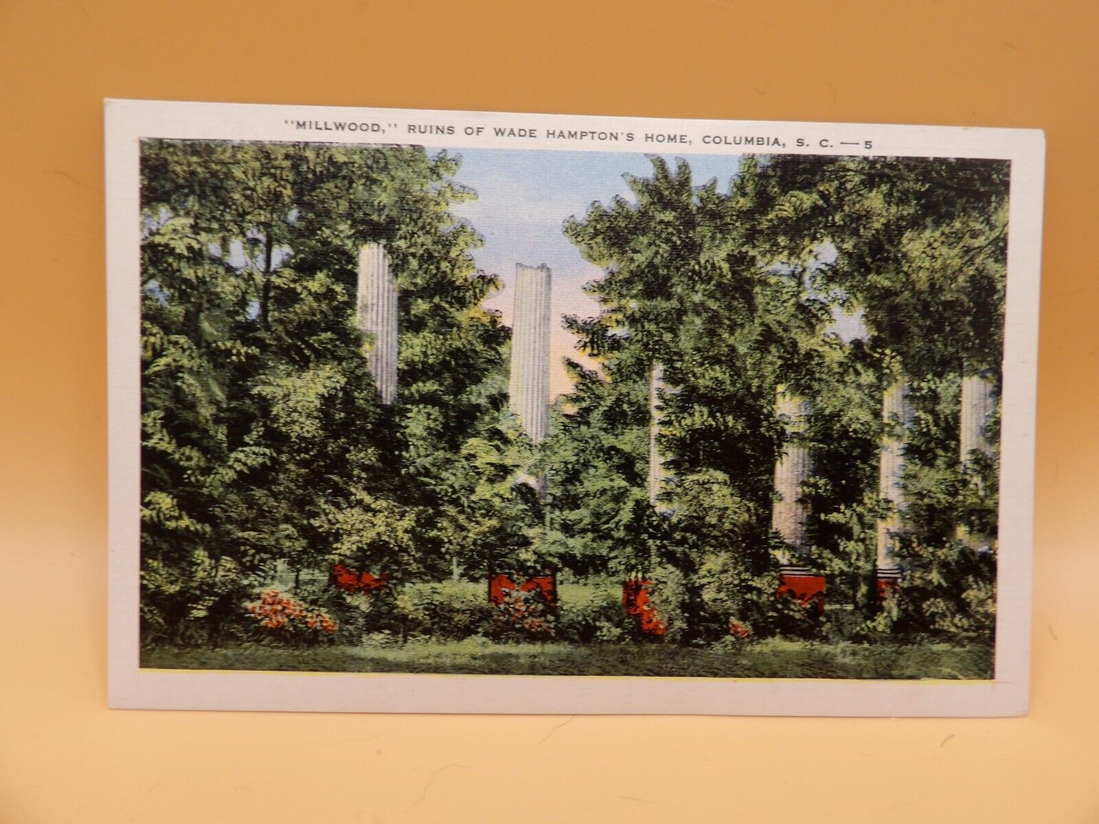 Vintage Postcard Millwood, Ruins Of Wade Hampton's Home, Columbia. S.C.