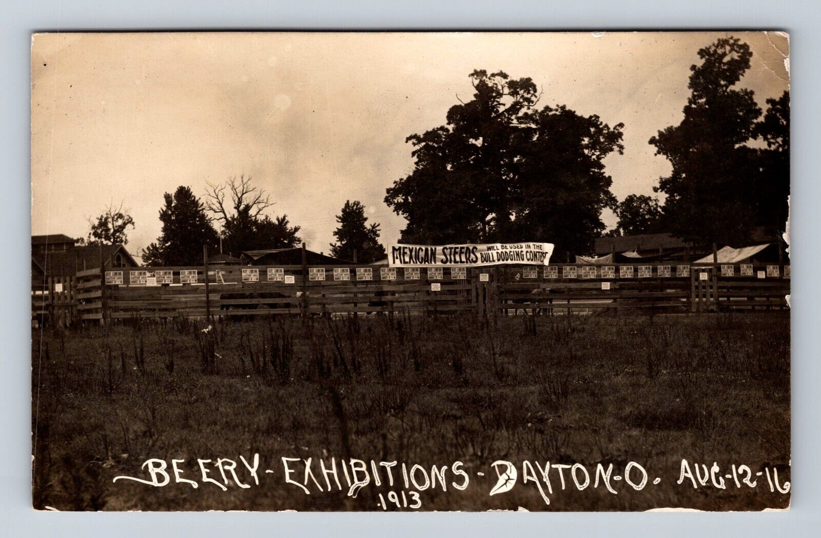 Dayton OH-Ohio, RPPC: Mexican Steer - Beery Exhibitions Vintage c1913 Postcard