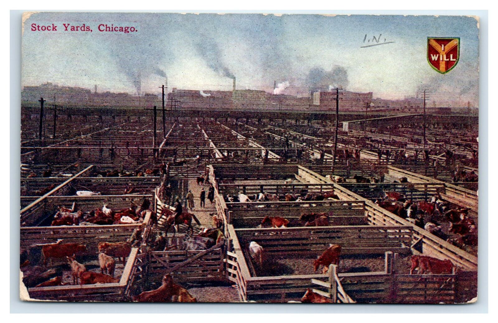 Chicago, IL Postcard- STOCK YARDS