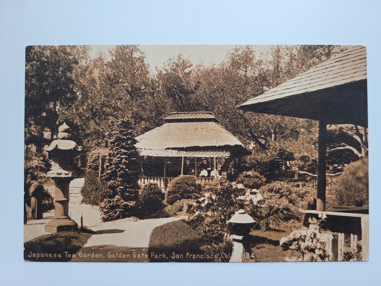 Japanese Tea Garden Vintage 1911 Postcard San Francisco CA California