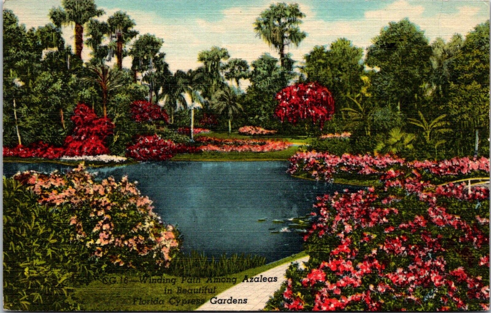 Winding Path Among the Azaleas Cypress Gardens Florida Linen Postcard