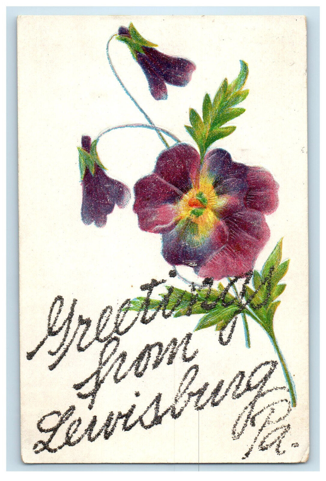 1906 Greetings from Lewisburg Pennsylvania PA Posted Flower, Glitters, Postcard