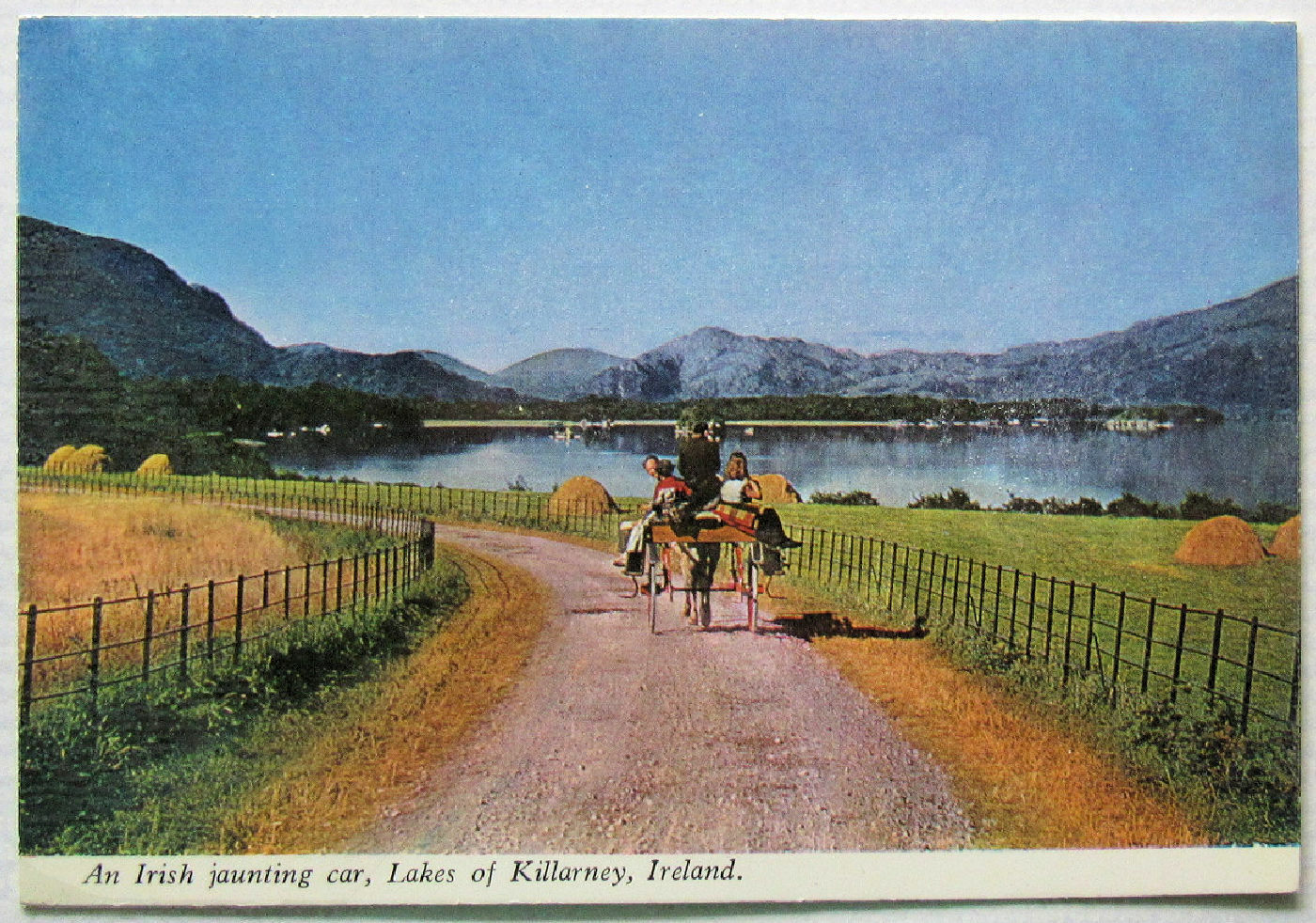 Ireland Killarney Lakes Jaunting Car Postcard 