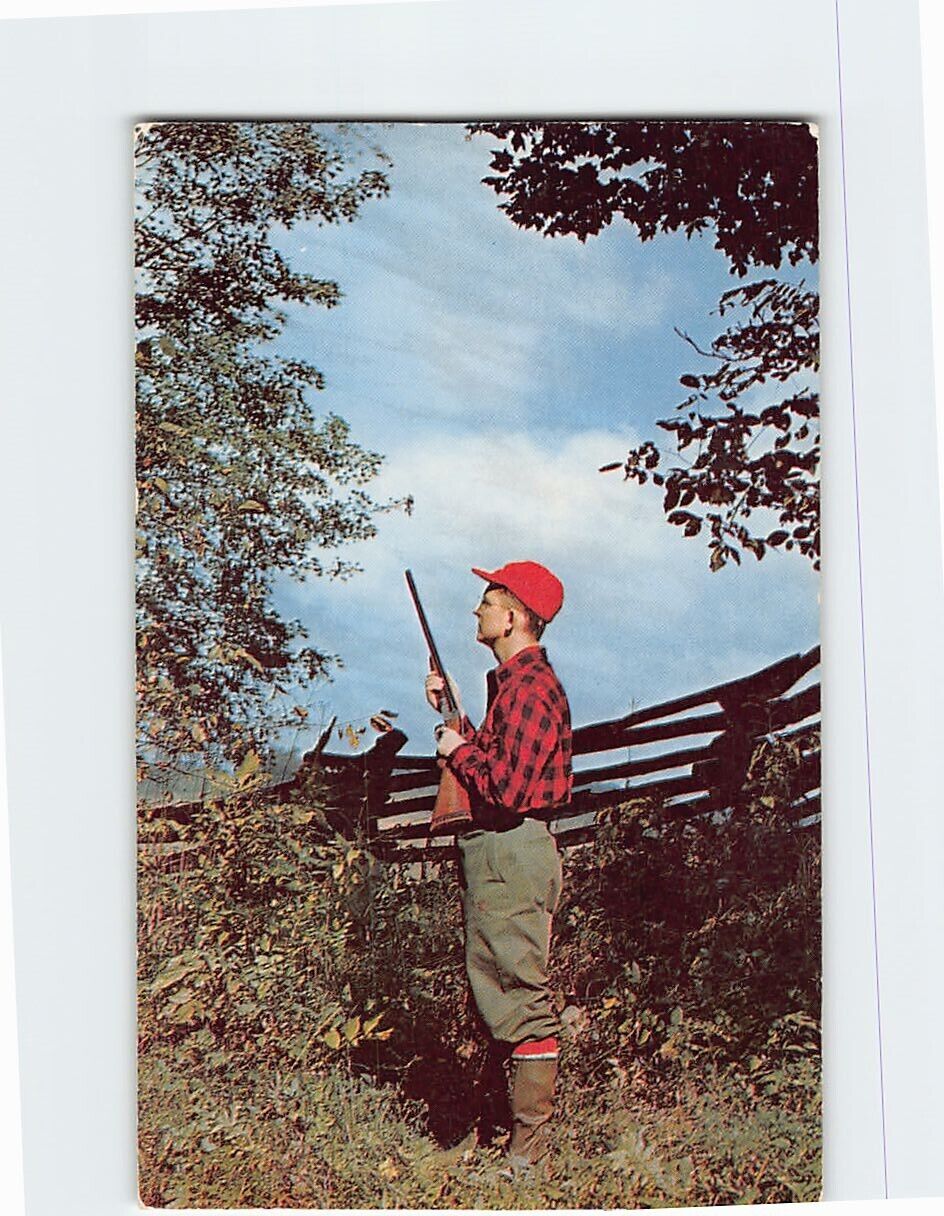 Postcard The Hunter