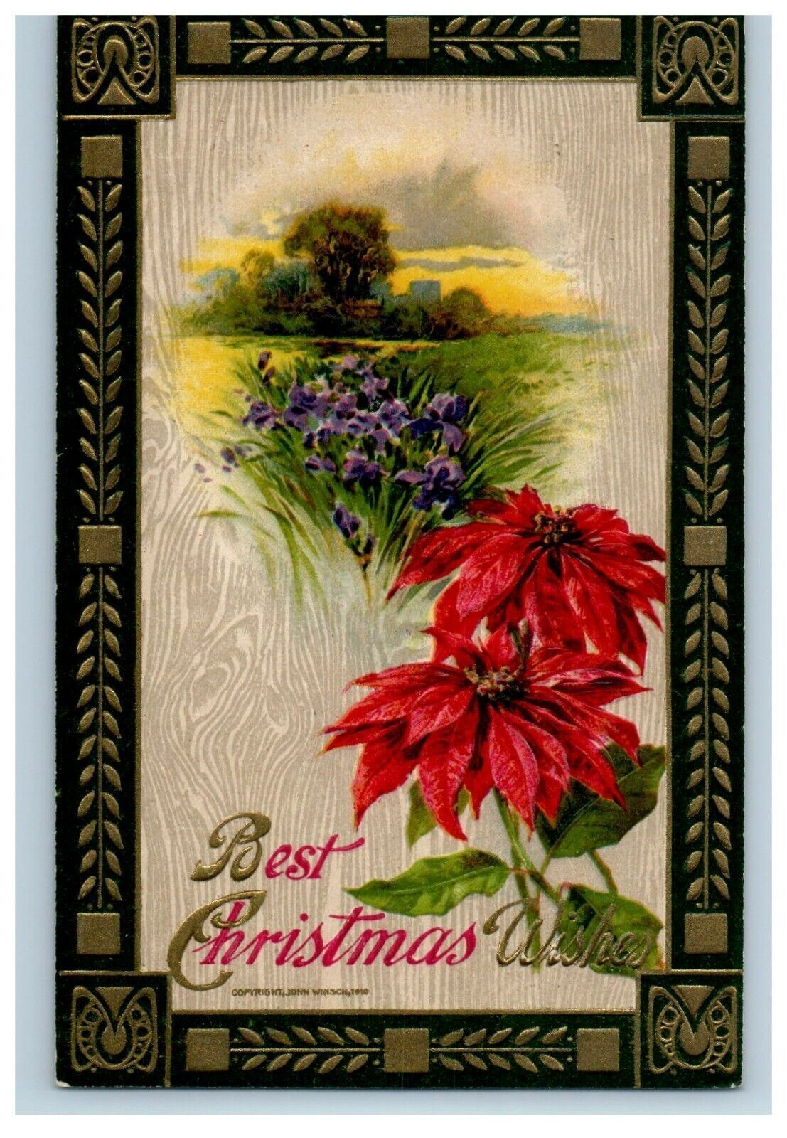 1910 Christmas John Winsch Poinsettia Purple Flowers Farm Tree Embossed Postcard