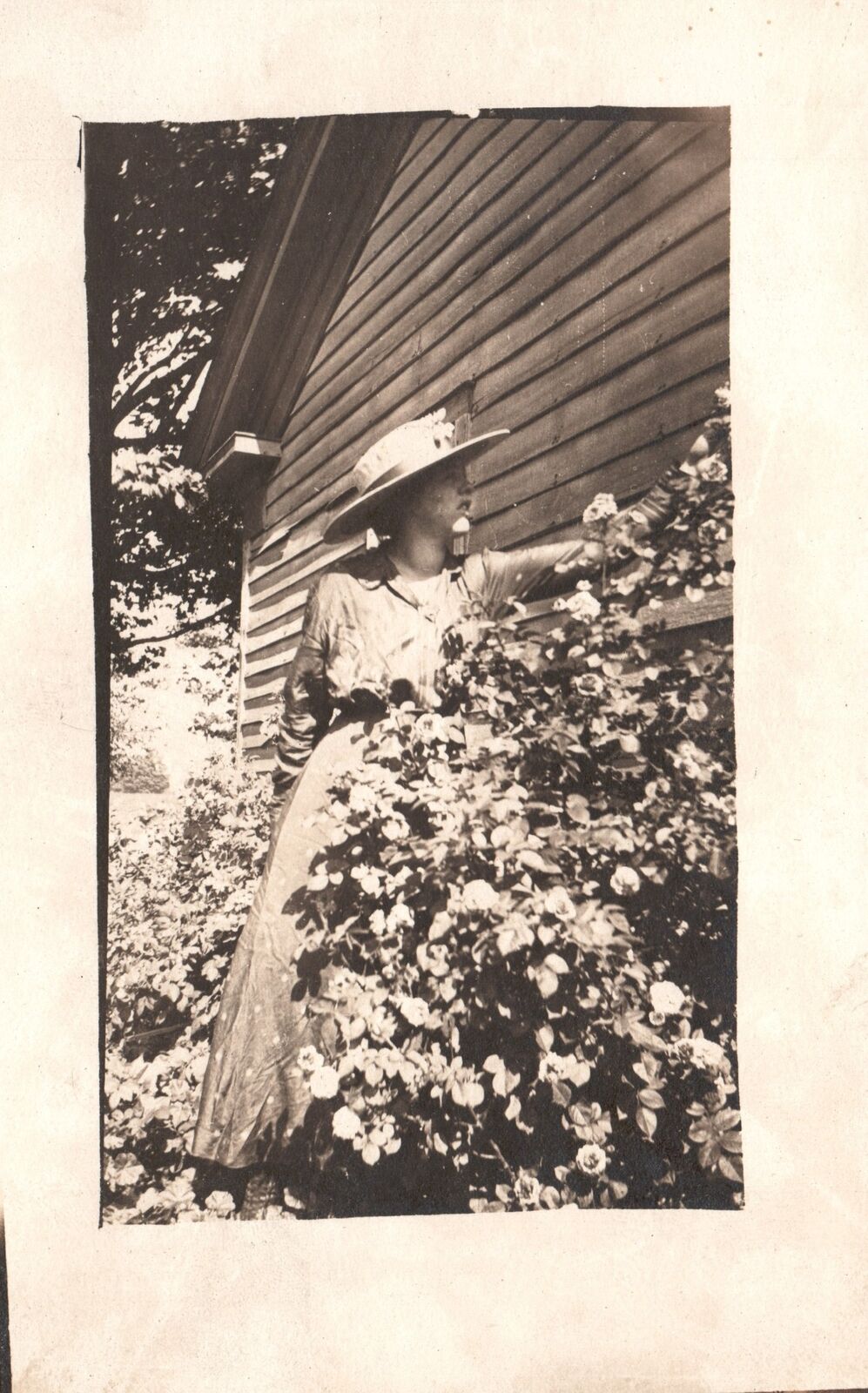 Vintage Postcard One Fine Day In The Yard Woman Picking Up Flowers