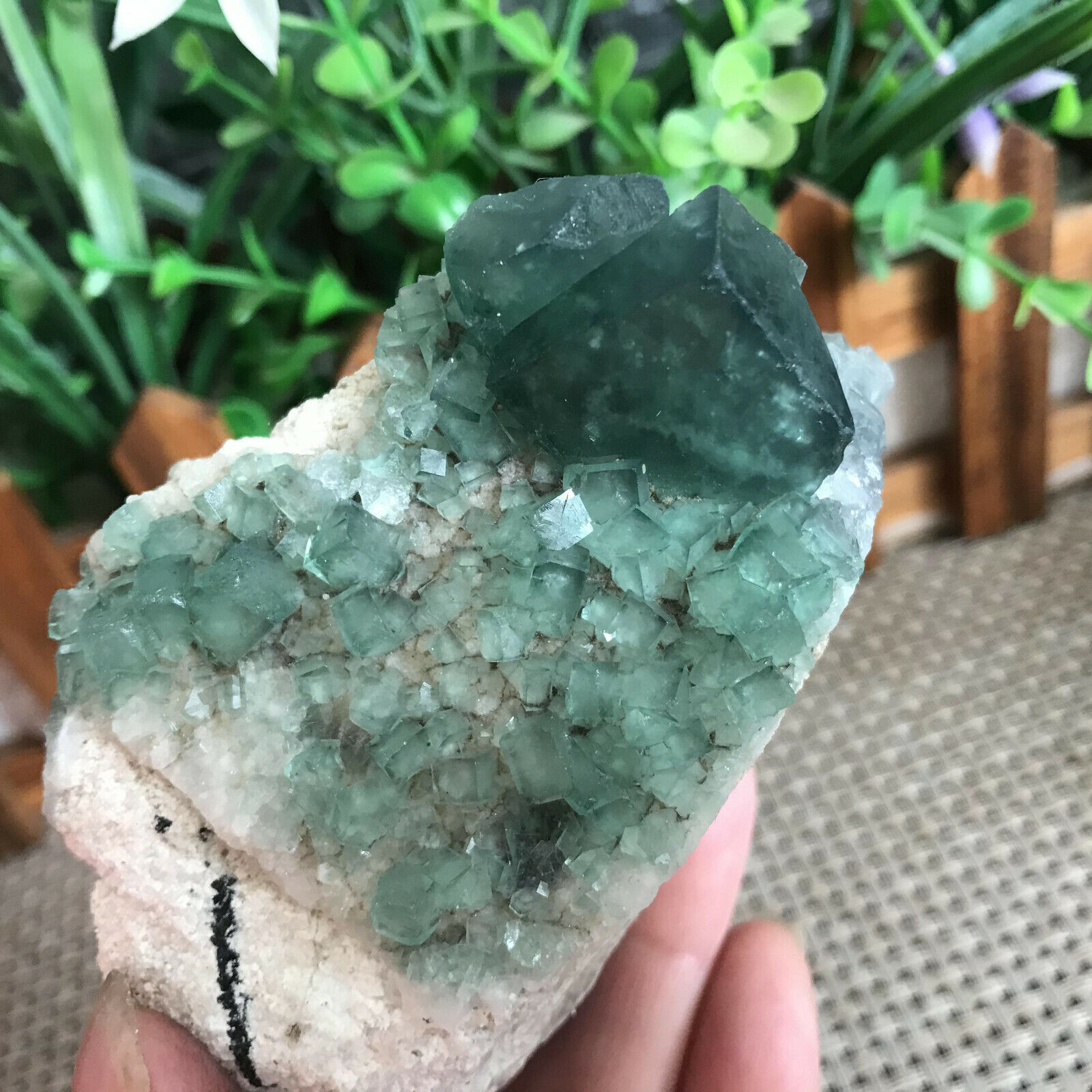 269g  Natural green fluorite quartz crystal cluster   sample mh214