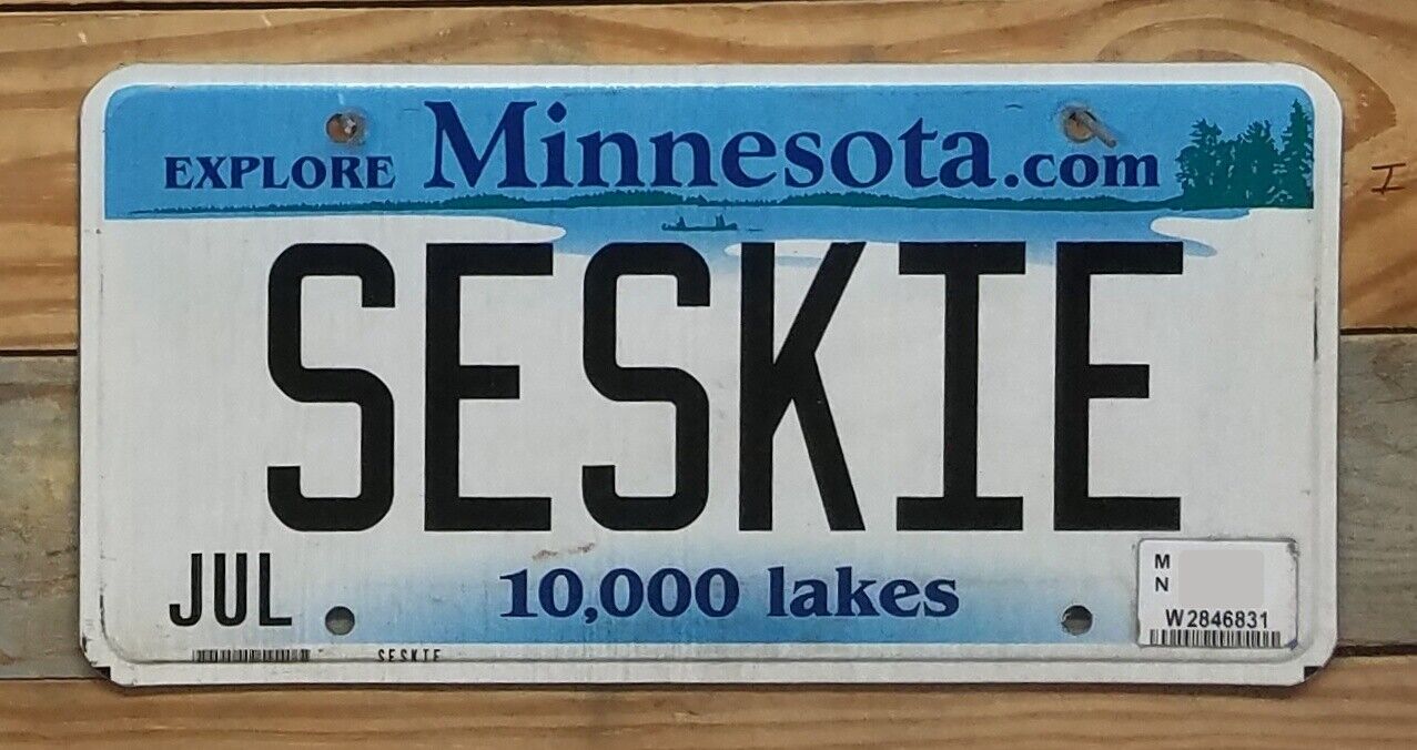 Minnesota expired 2014? 10,000 Lakes Vanity License Plate ~ SESKIE - Flat(2)