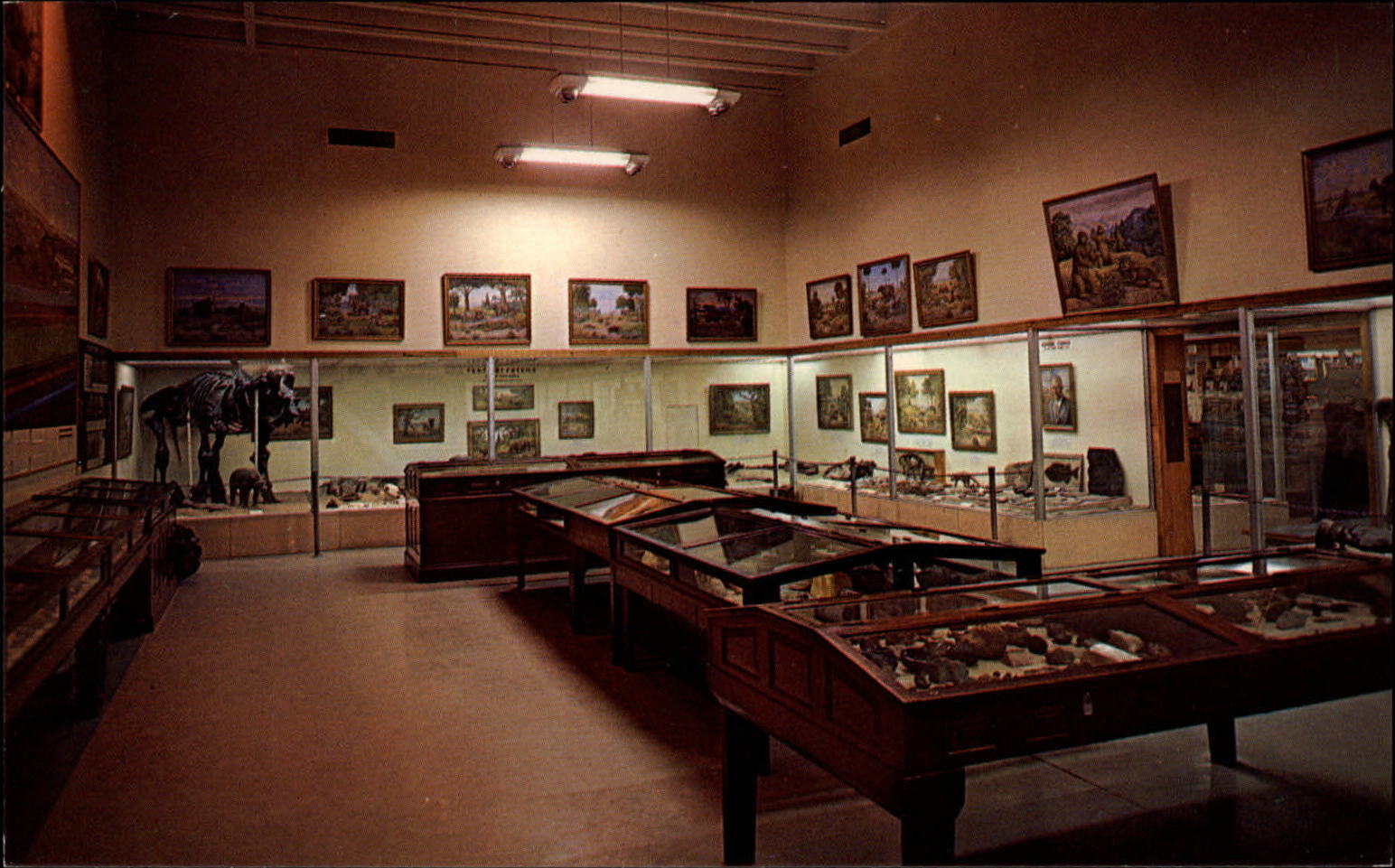 Fossil Hall Utah Field House Natural History ~ 1950-60s vintage postcard