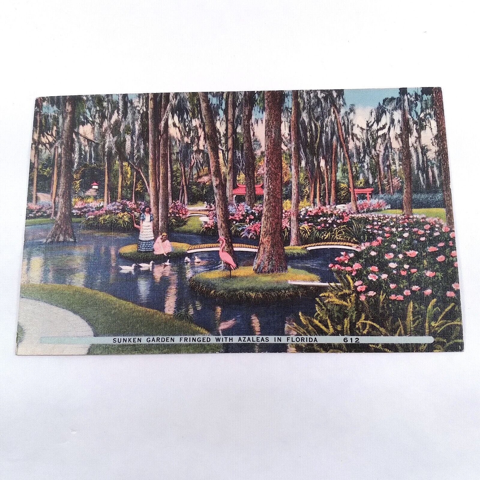 St. Petersburg Florida -Sunken Gardens- Japanese Garden Postcard 1930-45