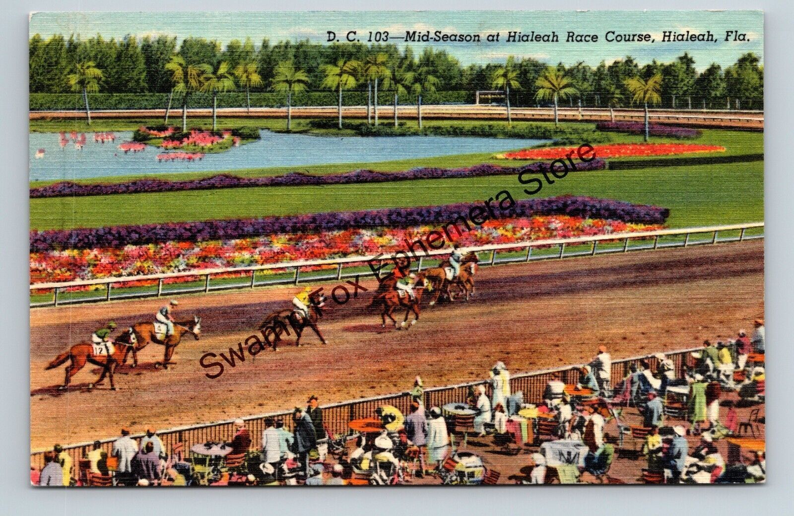 Postcard Mid Season Hialeah Race Course Horses Florida Linen