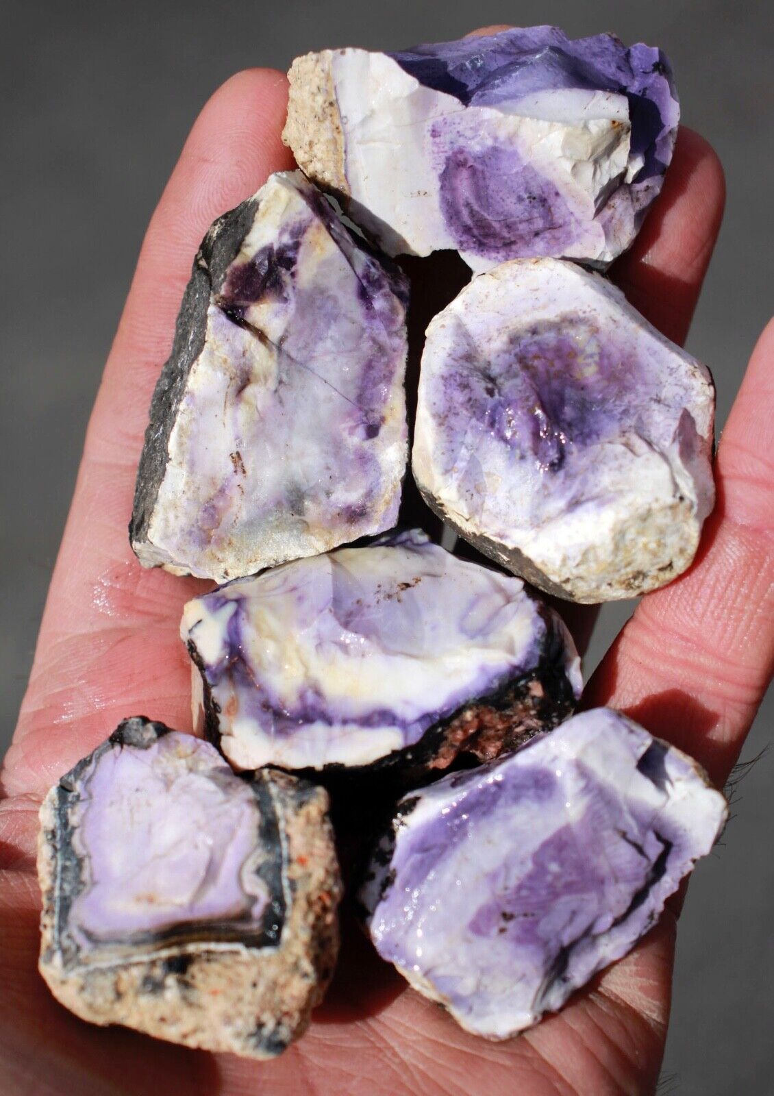 Utah Tiffany Stone • Tumbling Rough • 6 Pieces/10.1 oz.