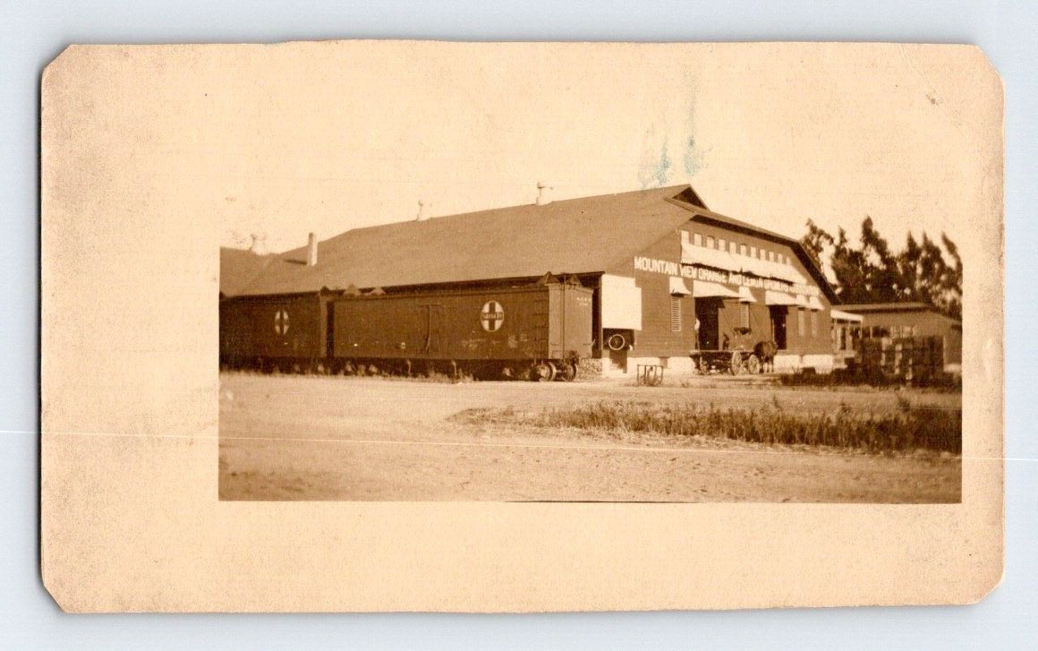 RPPC 1910. MOUNTAIN VIEW ORANGE & LEMON PACKING HOUSE. CALIF. POSTCARD L28