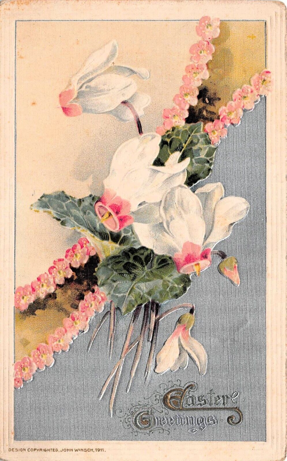 Easter John Winsch 1911 Magnolia Flower Study Botanical Floral Vtg Postcard D44