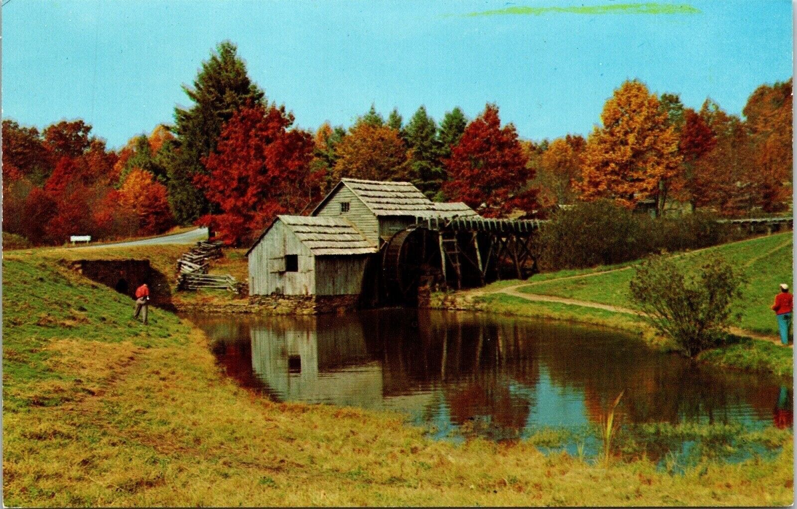 Historic Old Mill Pond Upstate New York Scenic Landscape Chrome Postcard