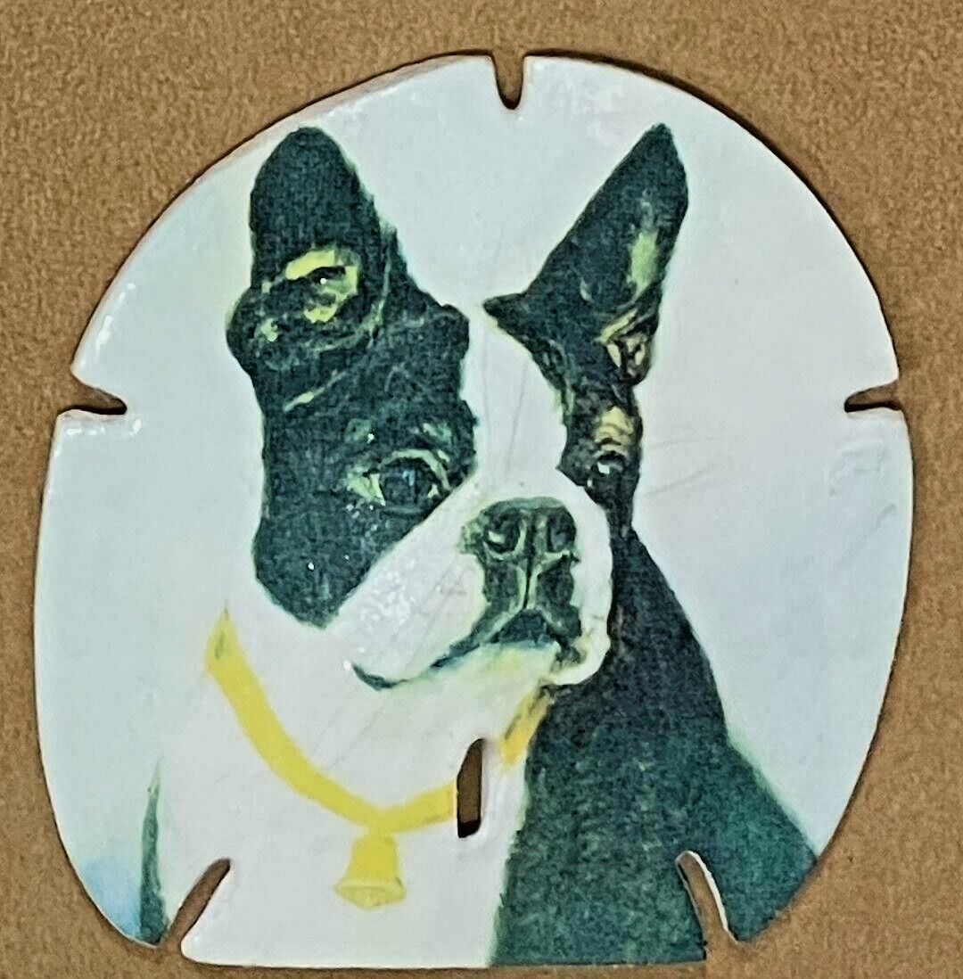 Unique Boston Terrier Portrait on a Large 4\