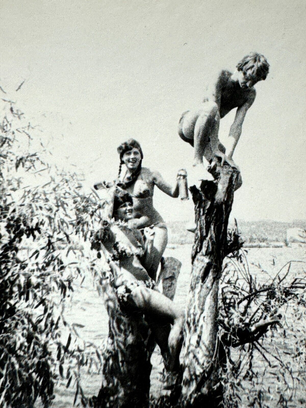 1970s Young Pretty Women Female Shirtless Guy Climbing Tree Vintage Photo