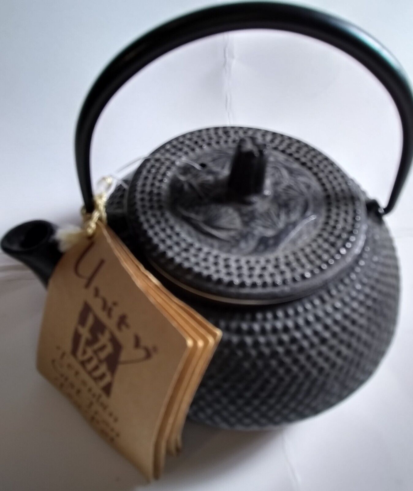 Japanese TetSubin Style Cast Iron Teapot Unity Black Porcelain Finish Interior