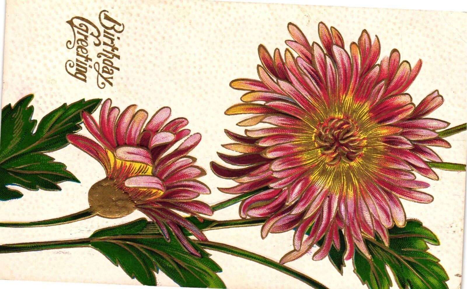 Vintage Postcard- Hot Pink Sunflower, Birthday Greetings.