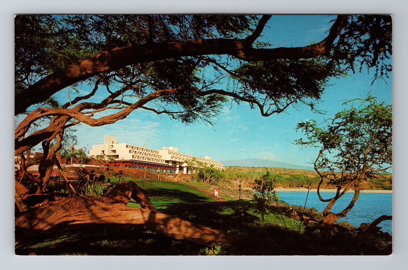 HI-Hawaii\'s Mauna Kea Beach Hotel, Guest, Antique Vintage Souvenir Postcard