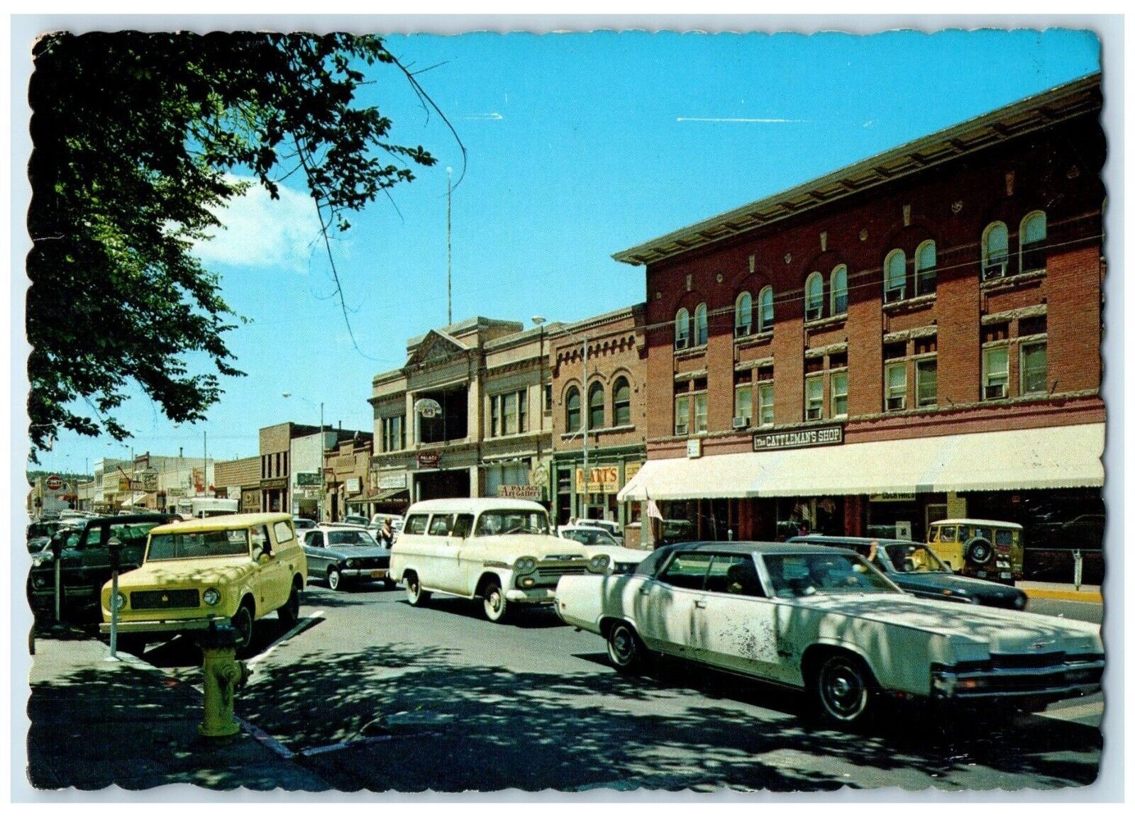 c1950's View Of Whiskey Row Cars Stores Prescott Arizona AZ Vintage Postcard
