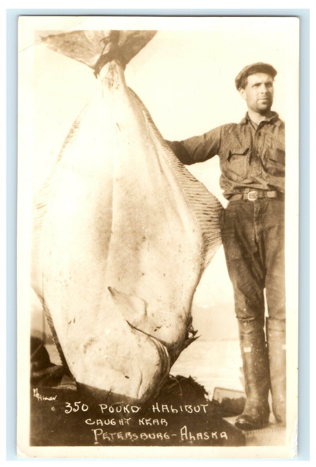 Early Original 350 Pound Halibut Fish Petersburg AK Alaska Photograph Photo H10