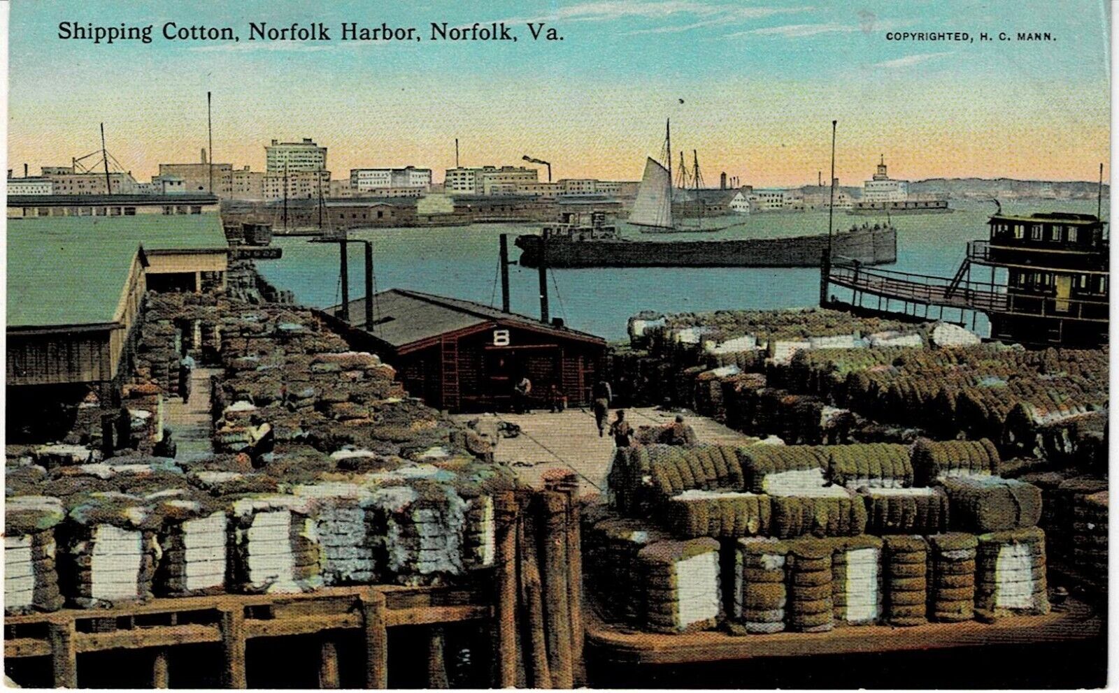 Antique Postcard-Shipping Cotton Norfolk Harbor-Norfolk VA-Divided Back