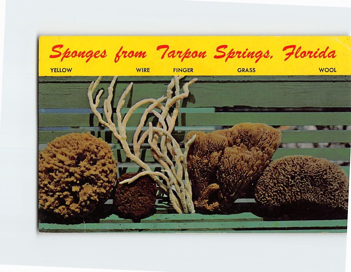 Postcard Sponges from Tarpon Springs Florida USA
