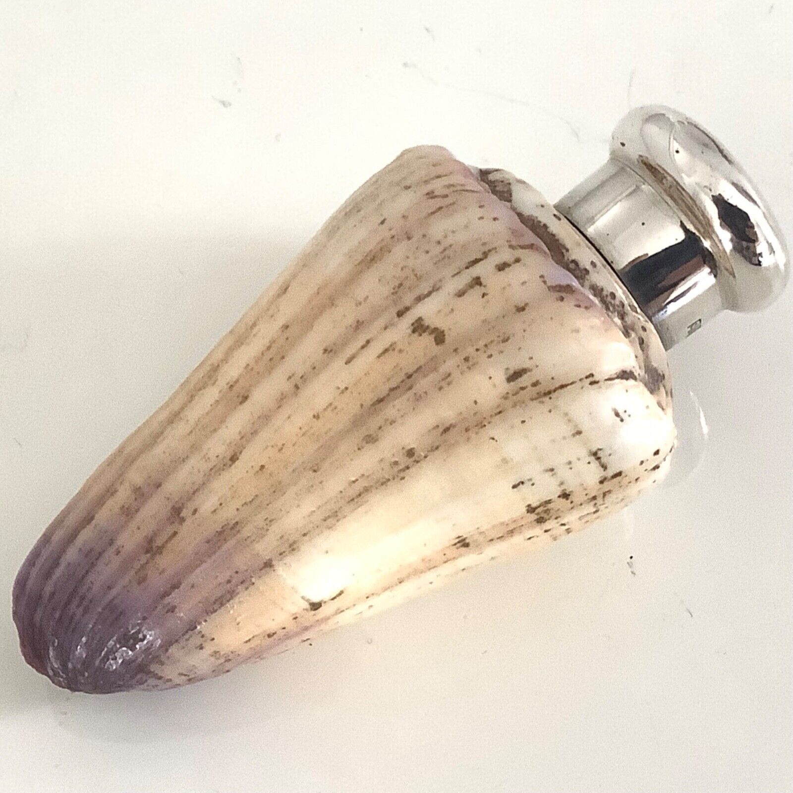 Superb rare antique silver Sampson Mordan shell perfume/scent bottle circa 1885.