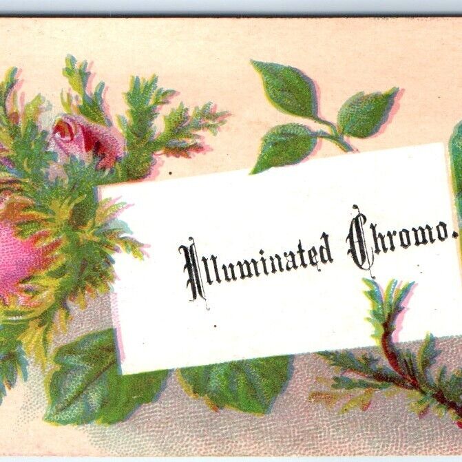 c1880s Sample Illuminated Chromo Lithography Stock Trade Card Advertising C35