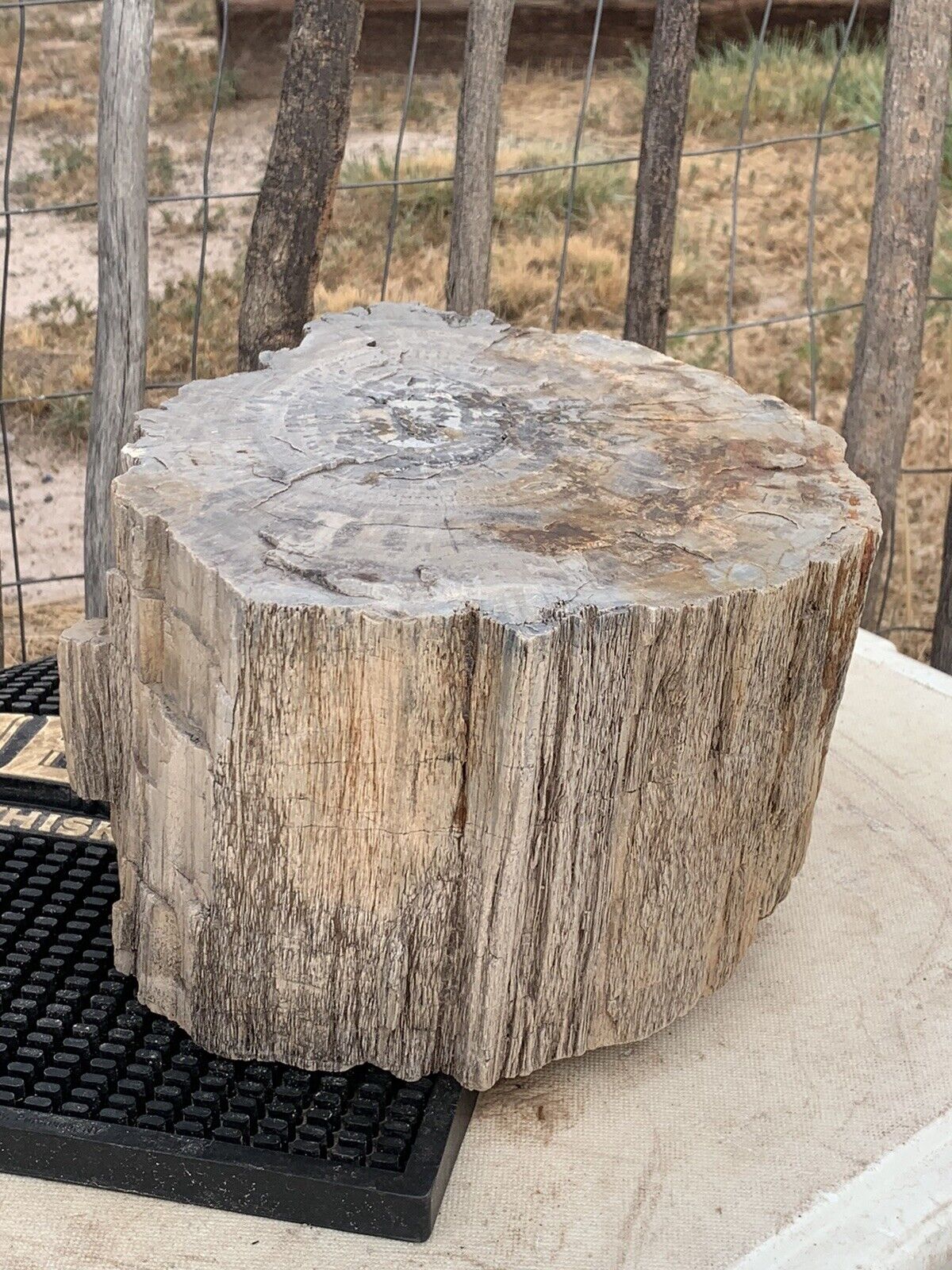 🍀RR⛏️: Rough Woodworthia Petrified Wood, Full Round, NE AZ. 32 Lb