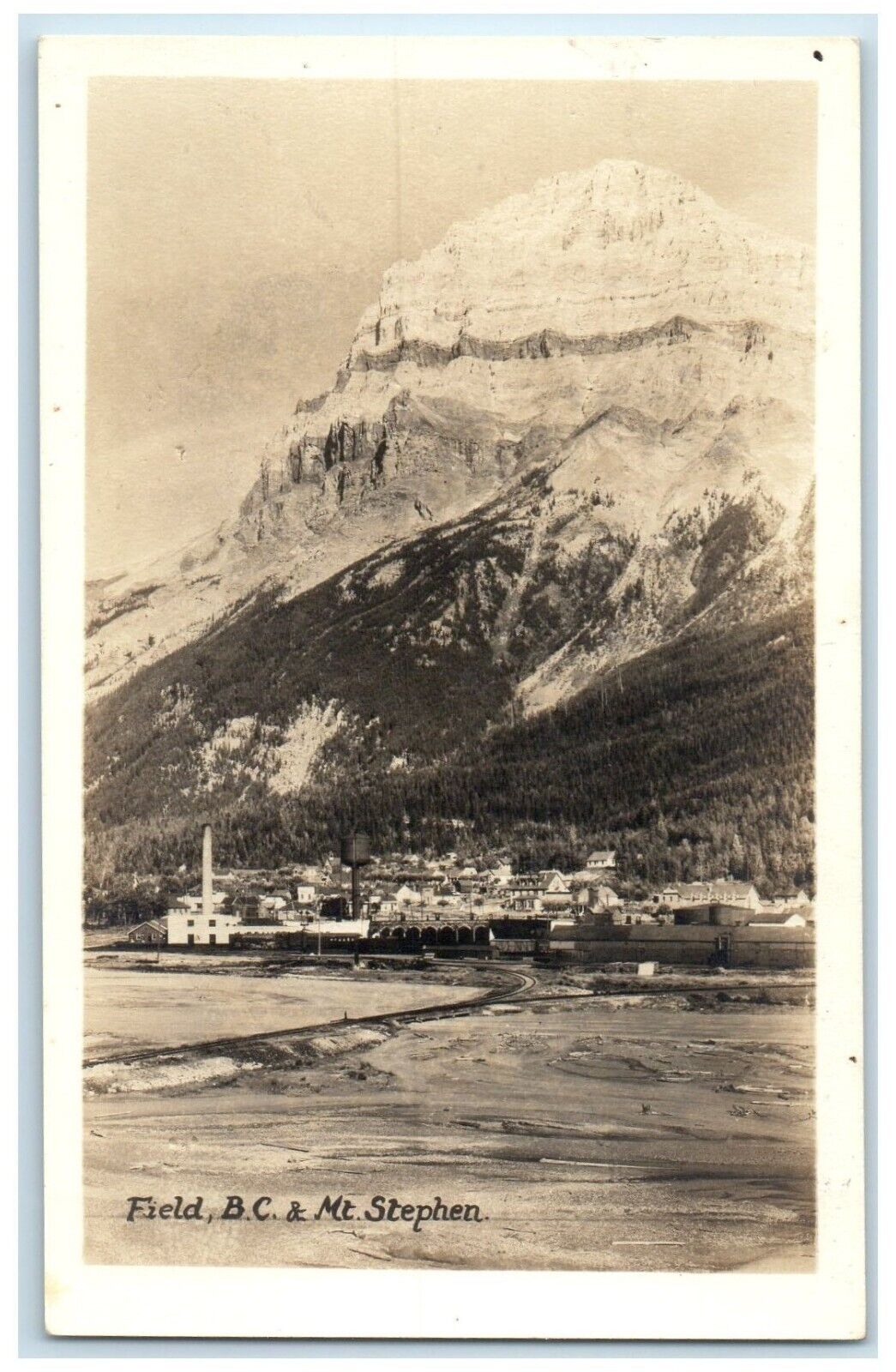 c1940s Field British Of Columbia Mt. Stephens Canada RPPC Photo Vintage Postcard