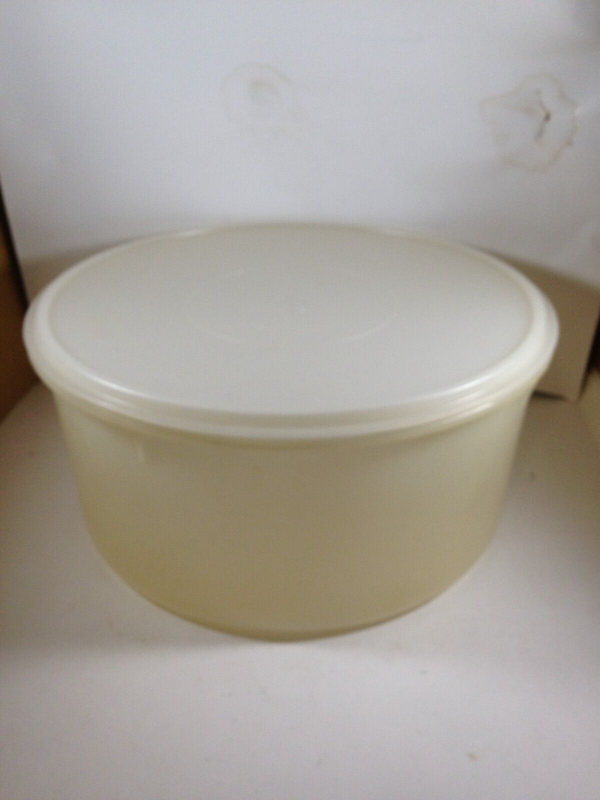 Vintage Tupperware Carry All Cake Pie Large Container 256 Sheer with Lid