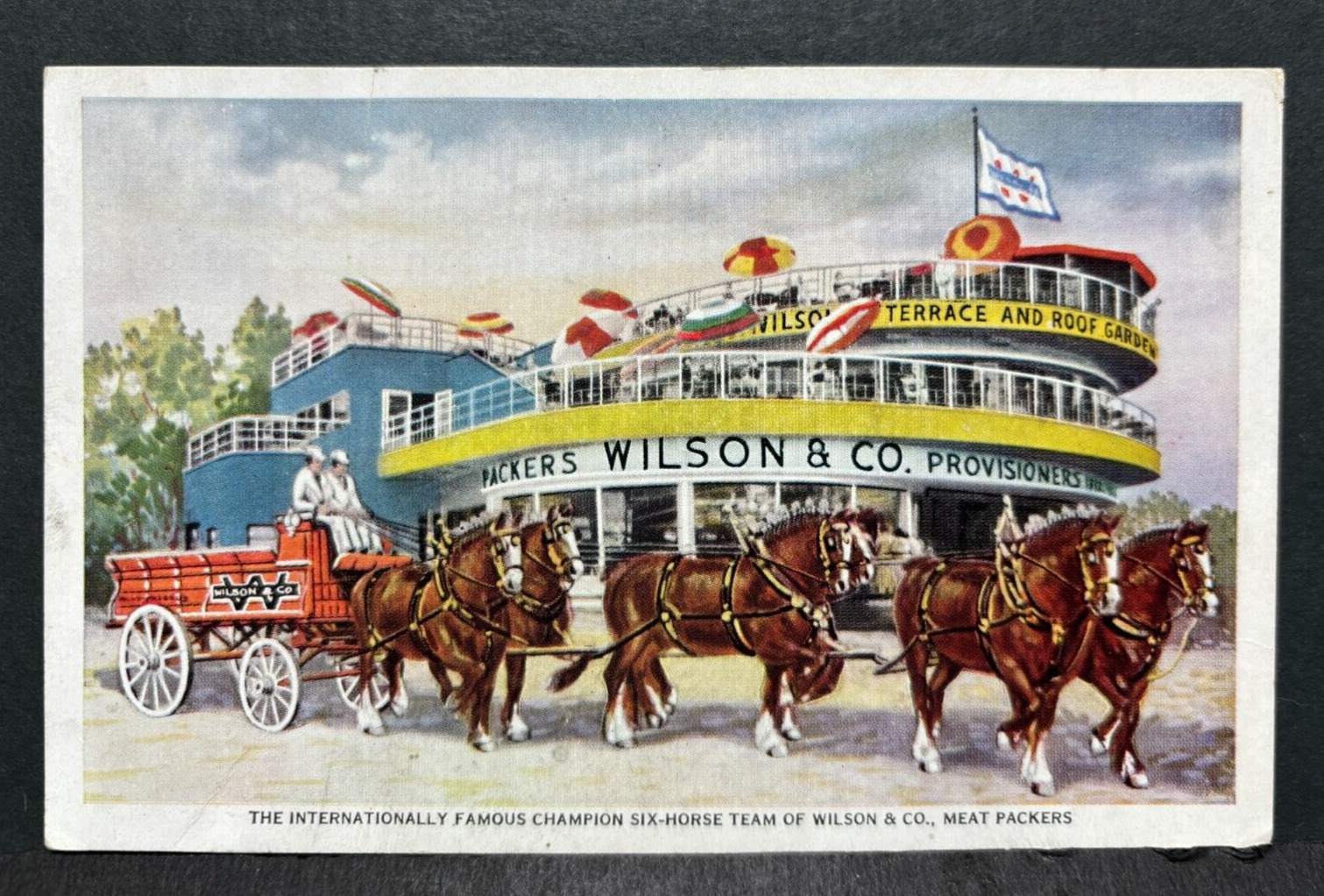 Postcard Wilson & Co Six Horse Champion Clydesdale Team Horses Century Progress