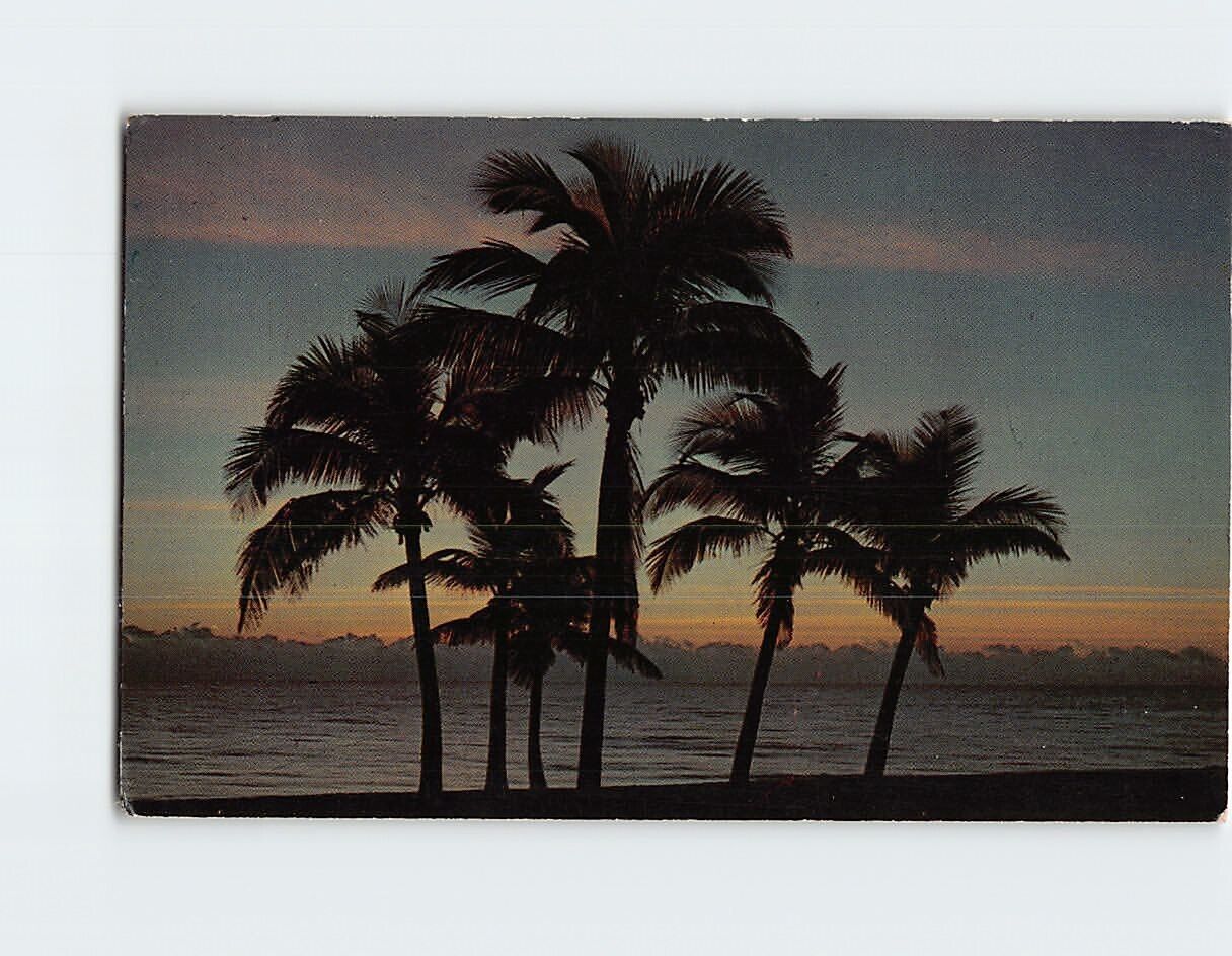 Postcard A Florida Sunrise USA North America