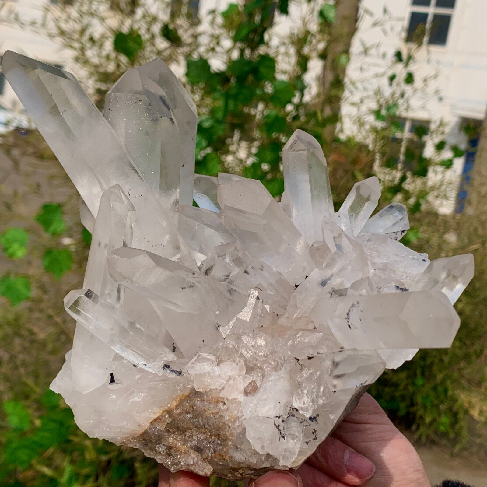 4.4LB A+++Large Natural white Crystal Himalayan quartz cluster /mineralsls