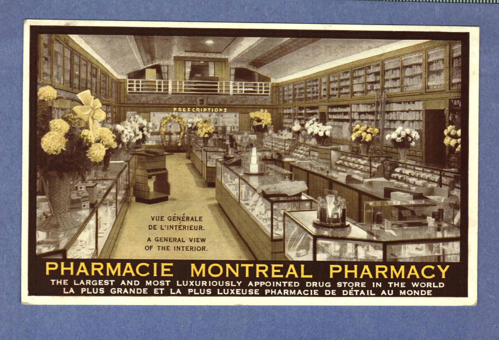 Postcard Pharmacie Montreal Pharmacy Largest Drug Store In The World Canada