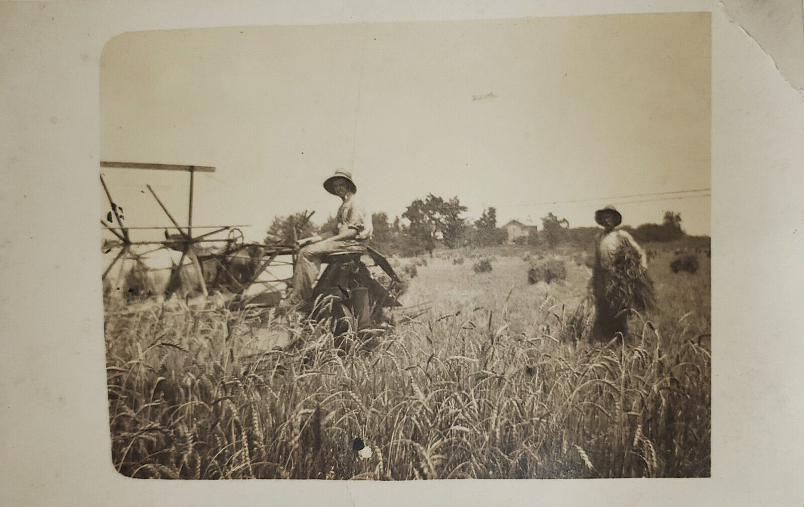 RPPC AZO 1904-1918 2 Farmworkers Operating Horse-Drawn Baling? Machine Unposted