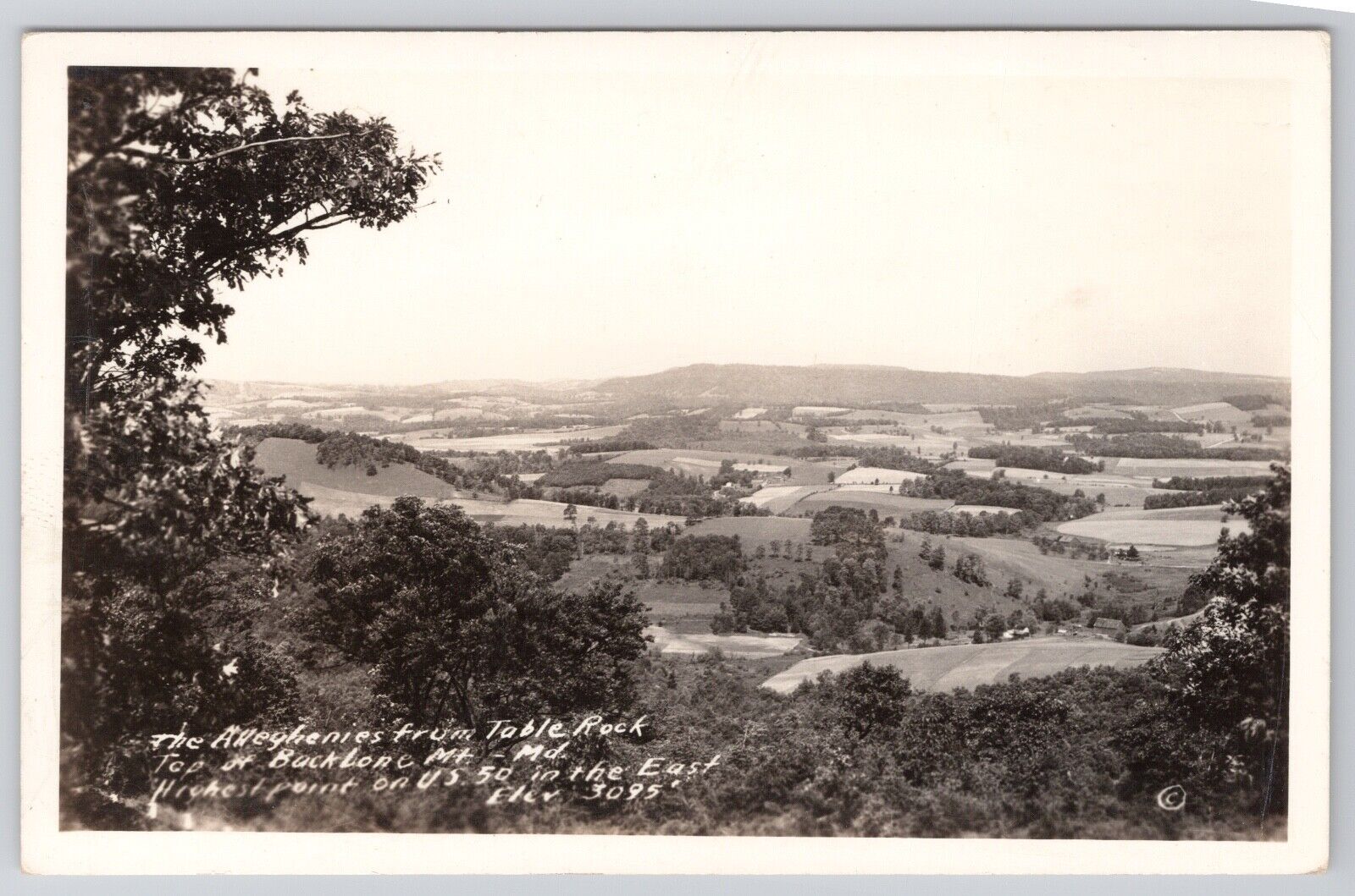 VIEW FROM TABLE ROCK MOUNT IN MARYLAND, GARRET COUNTY MD REAL PHOTO POSTCARD