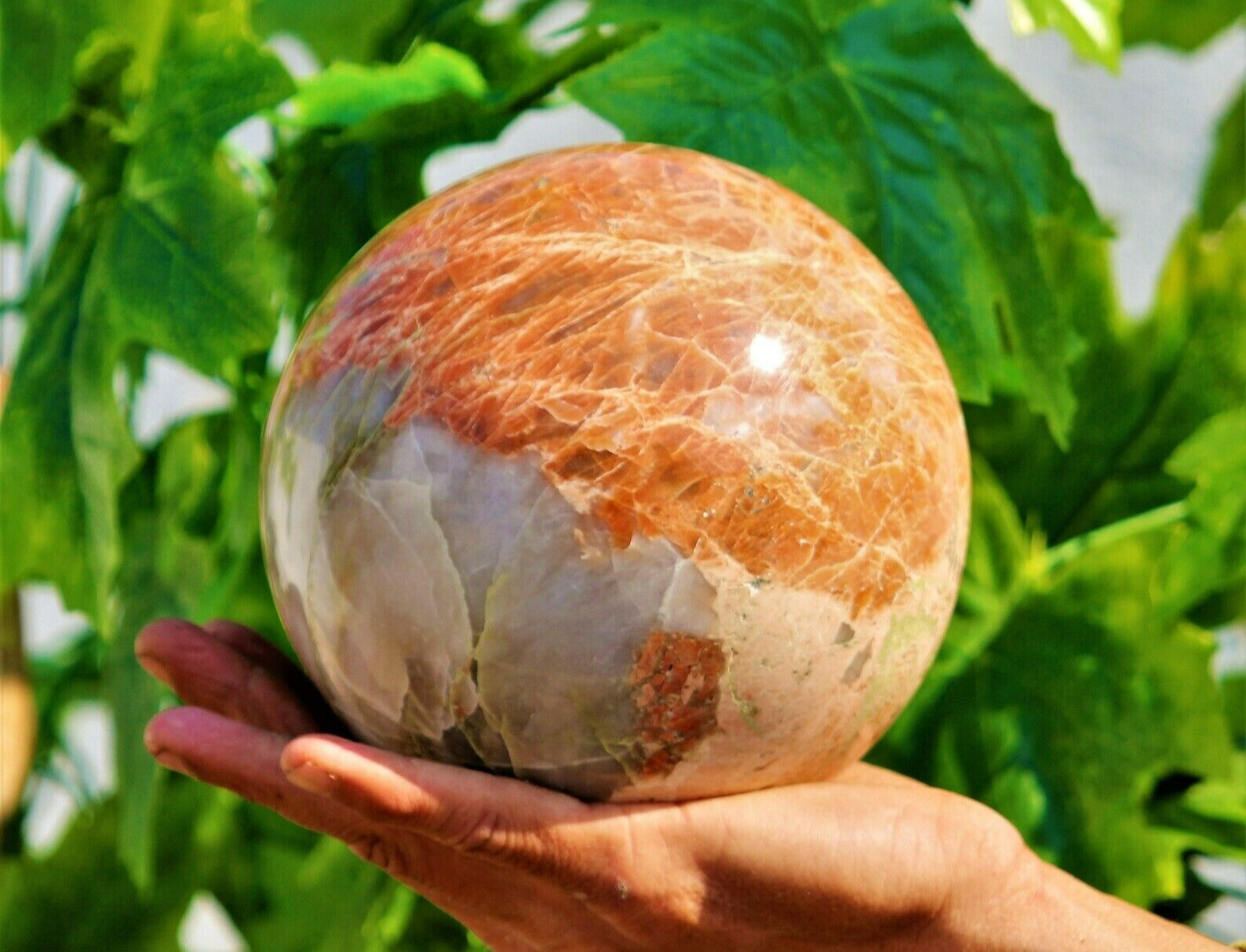 Large 14cm Pink Rosophia Crystal Quartz Healing Chakra Energy Stone Sphere Globe