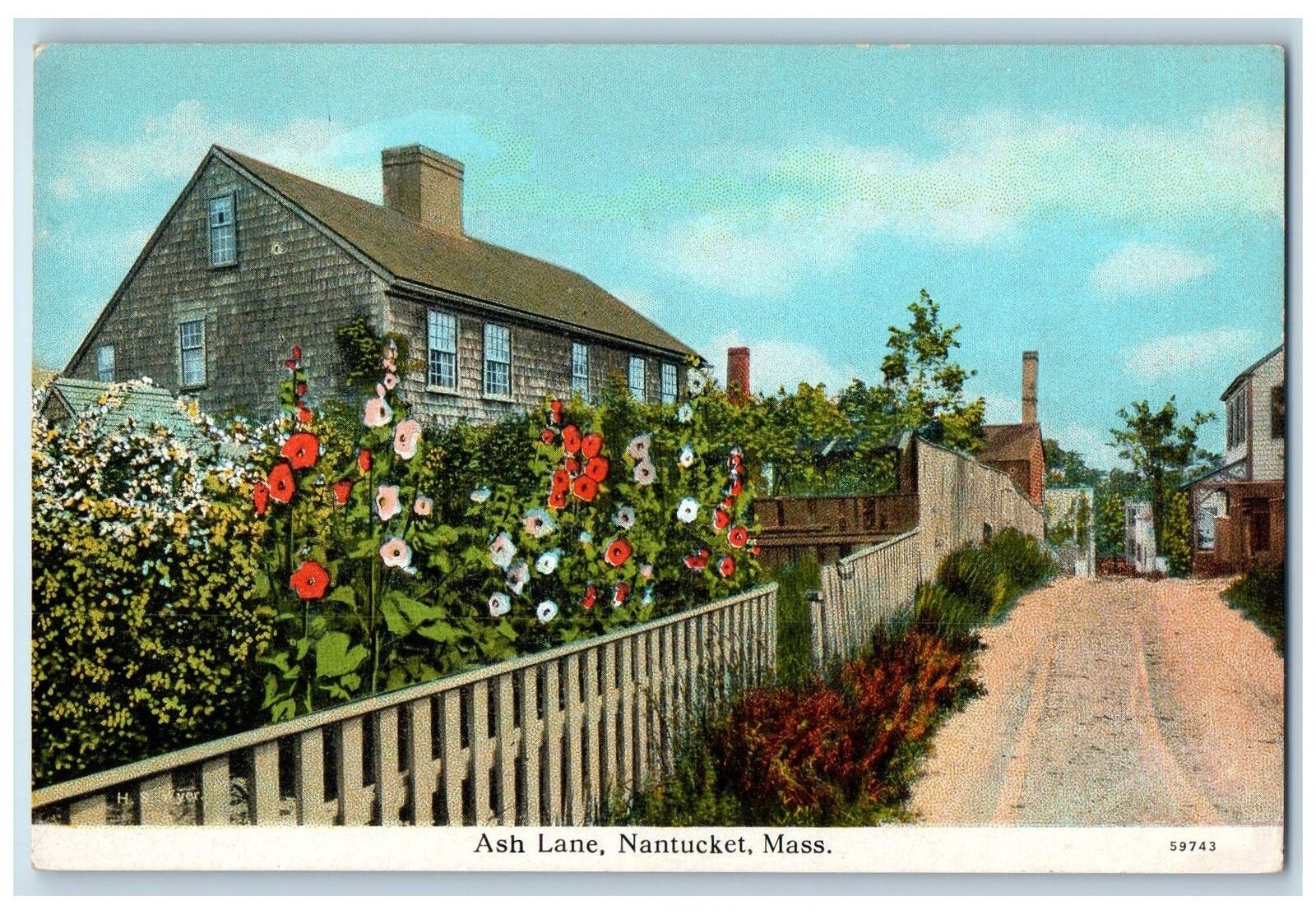Ash Lane Dirt Road Garden Fence Scene Nantucket Massachusetts MA Postcard