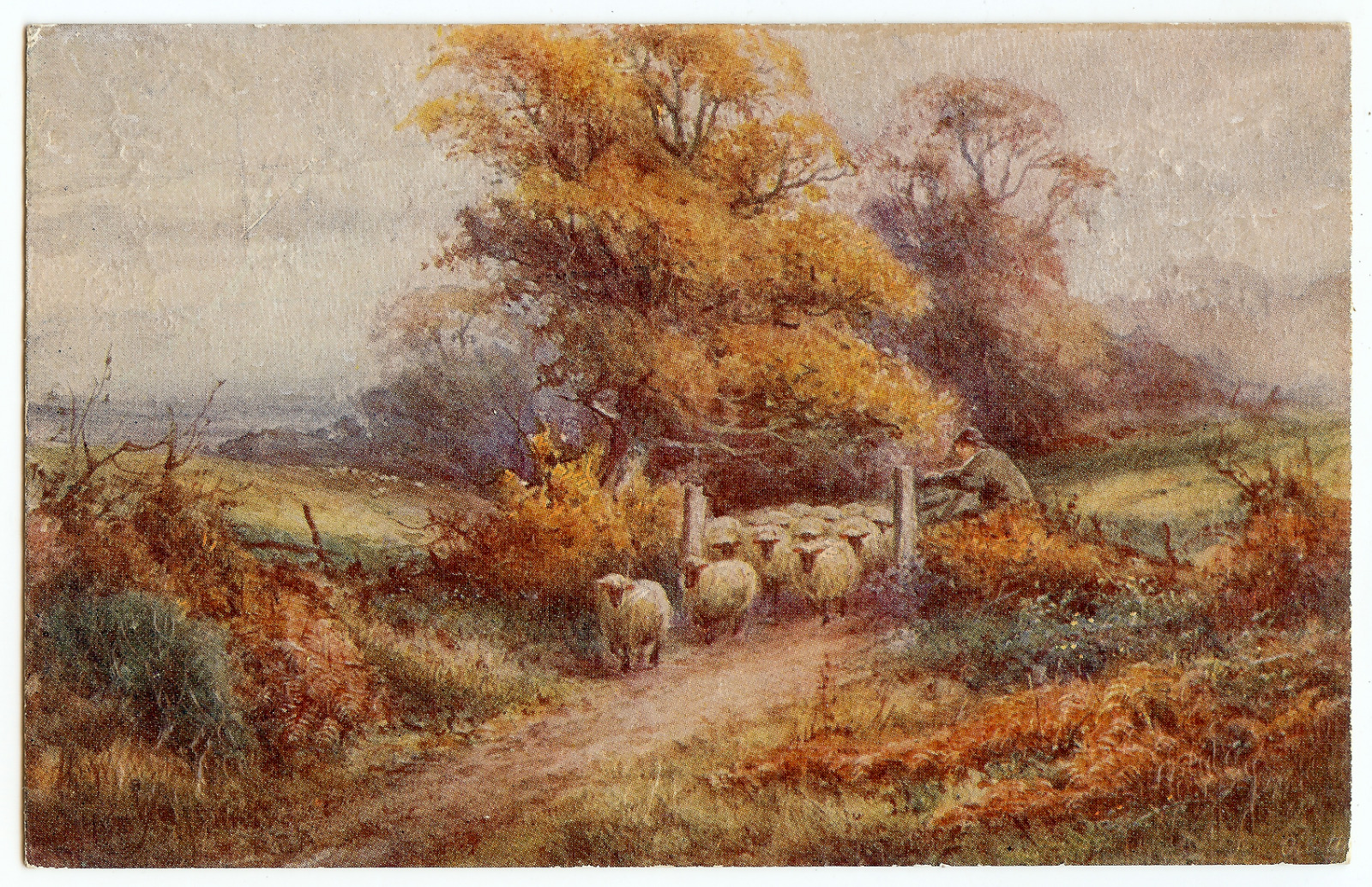 ANTIQUE TUCK'S OILETTE THE COUNTRY SIDE SHEEP POSTCARD NO 2360 STANNARD UNPOSTED