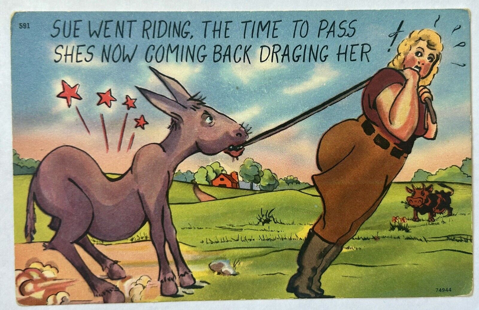 Woman Injures Mule From Riding It. Funny Vintage Postcard