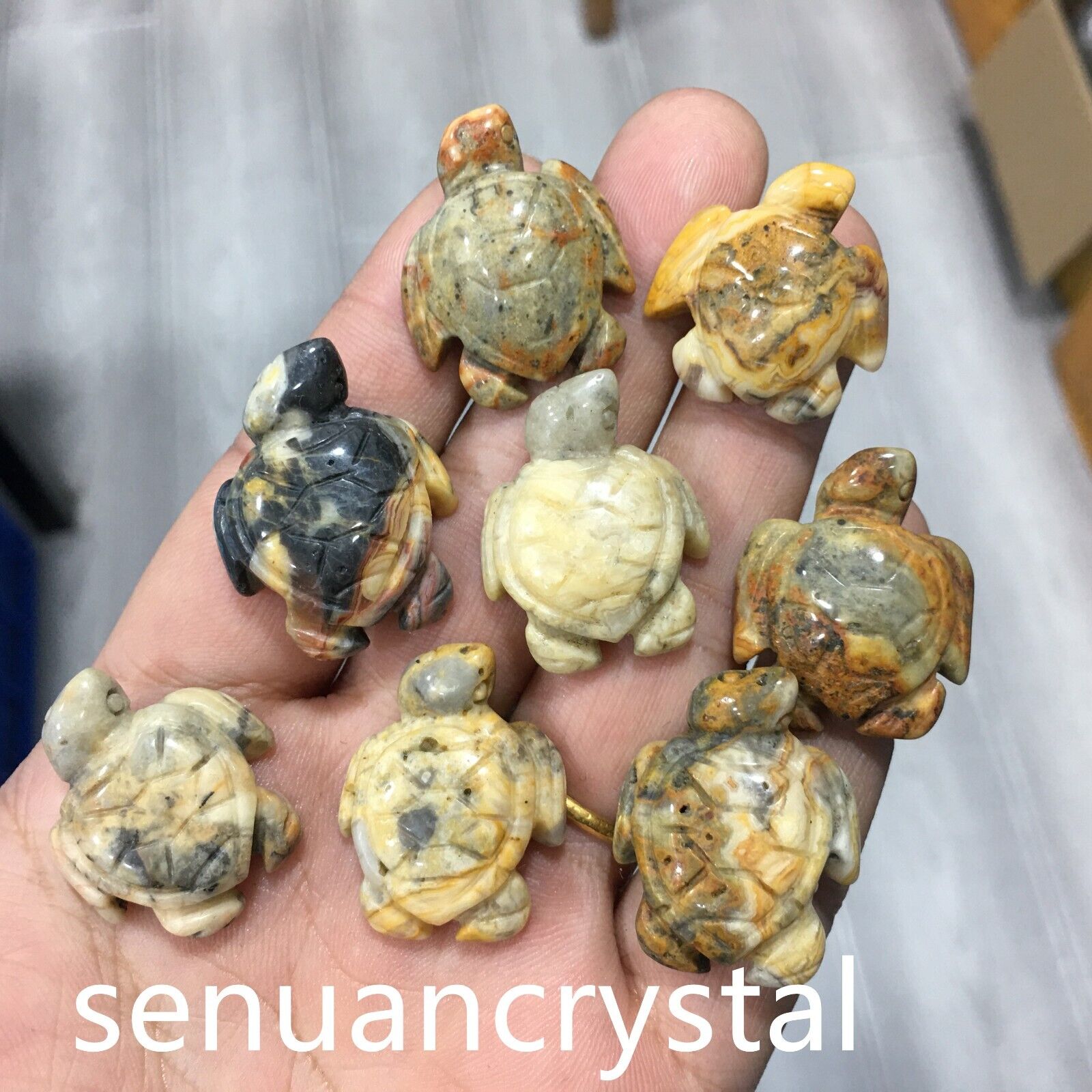 5pcs Natural Crazy agate quartz Crystal Sea turtle Carved Skull Healing random