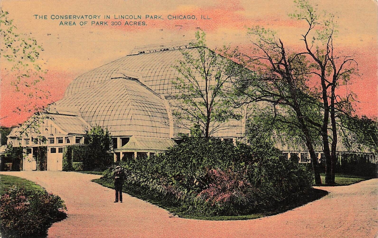 Chicago IL Illinois Lincoln Park Conservatory Sunset Twilight Vtg Postcard E23