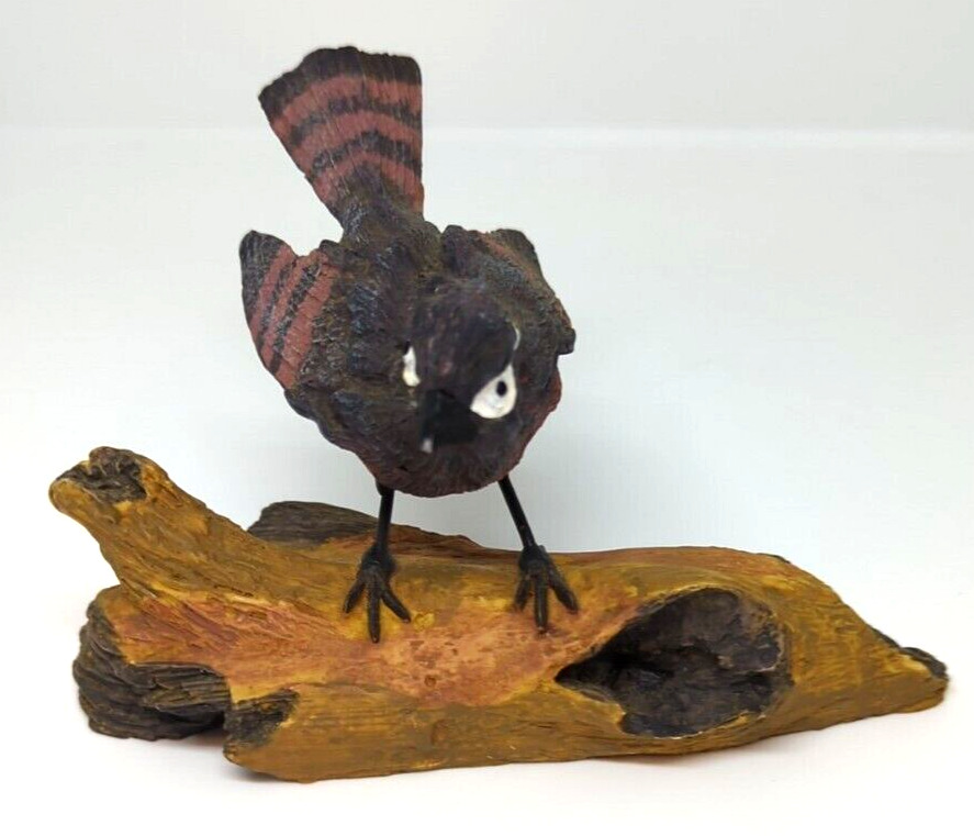 Black Brown Bird perched on Driftwood 5.5\