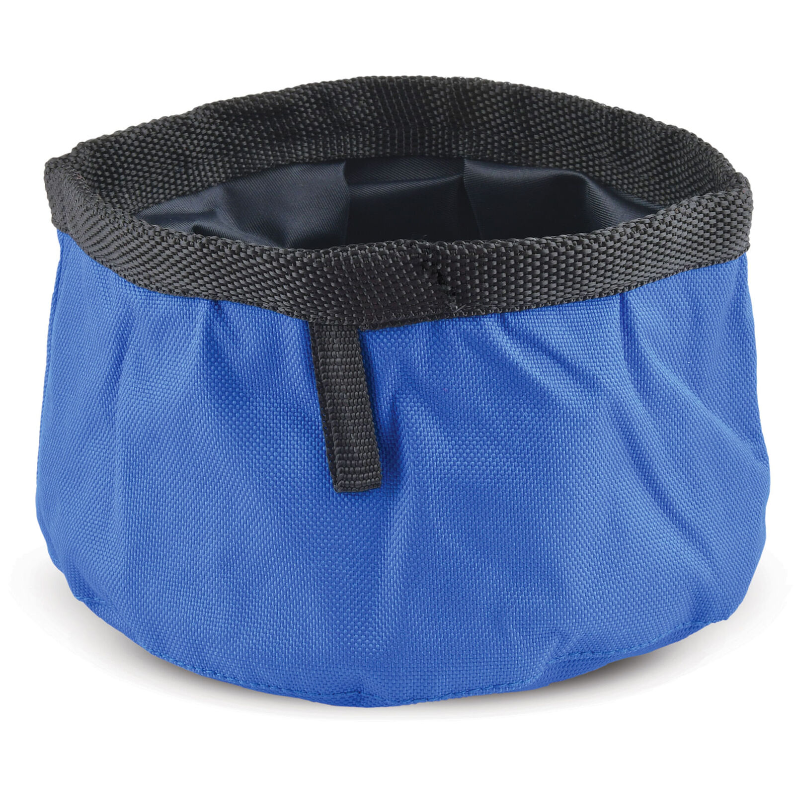 Jeffers Collapsible Bowl Color: Royal Blue