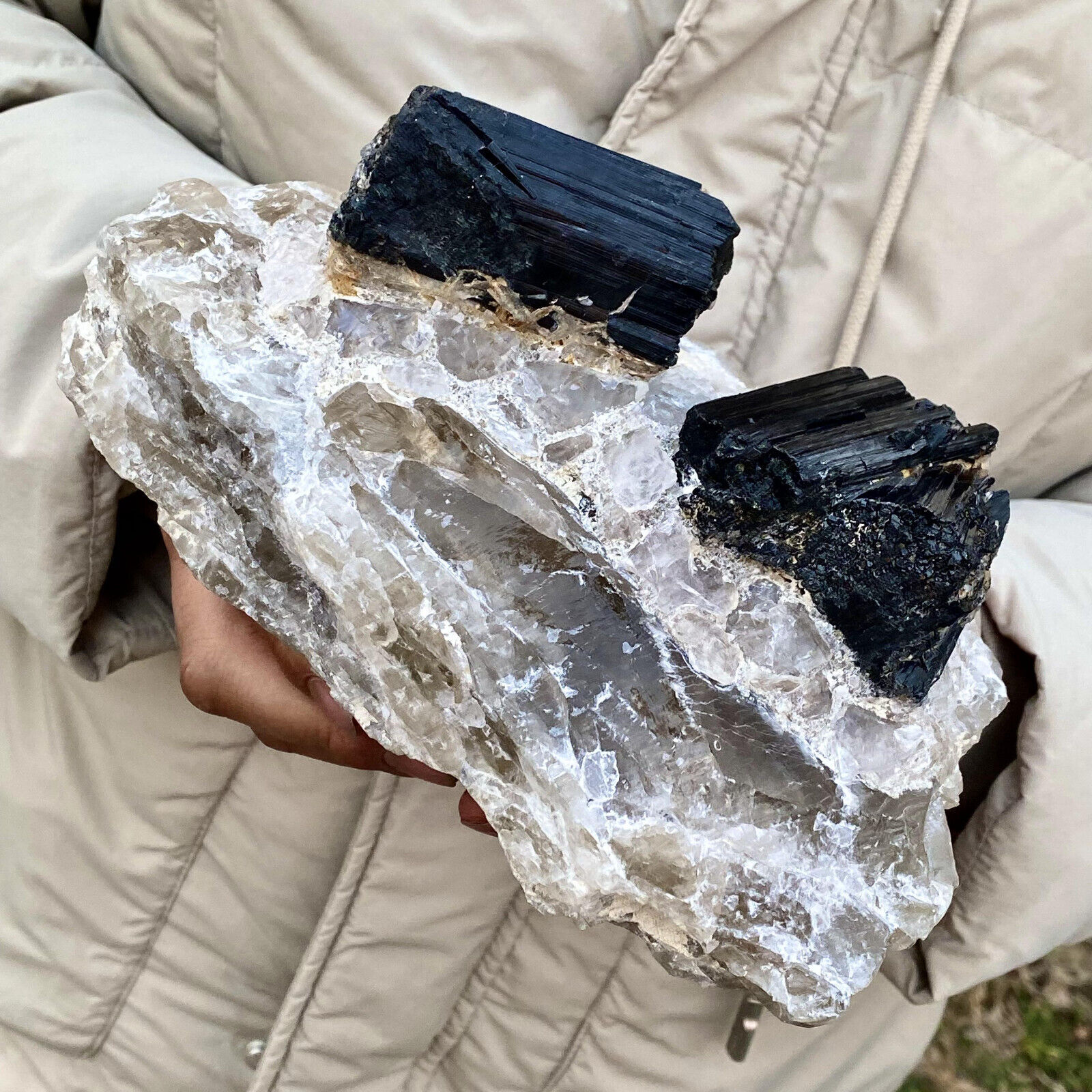 6.68LB Top natural black tourmaline quartz crystal mineral specimen