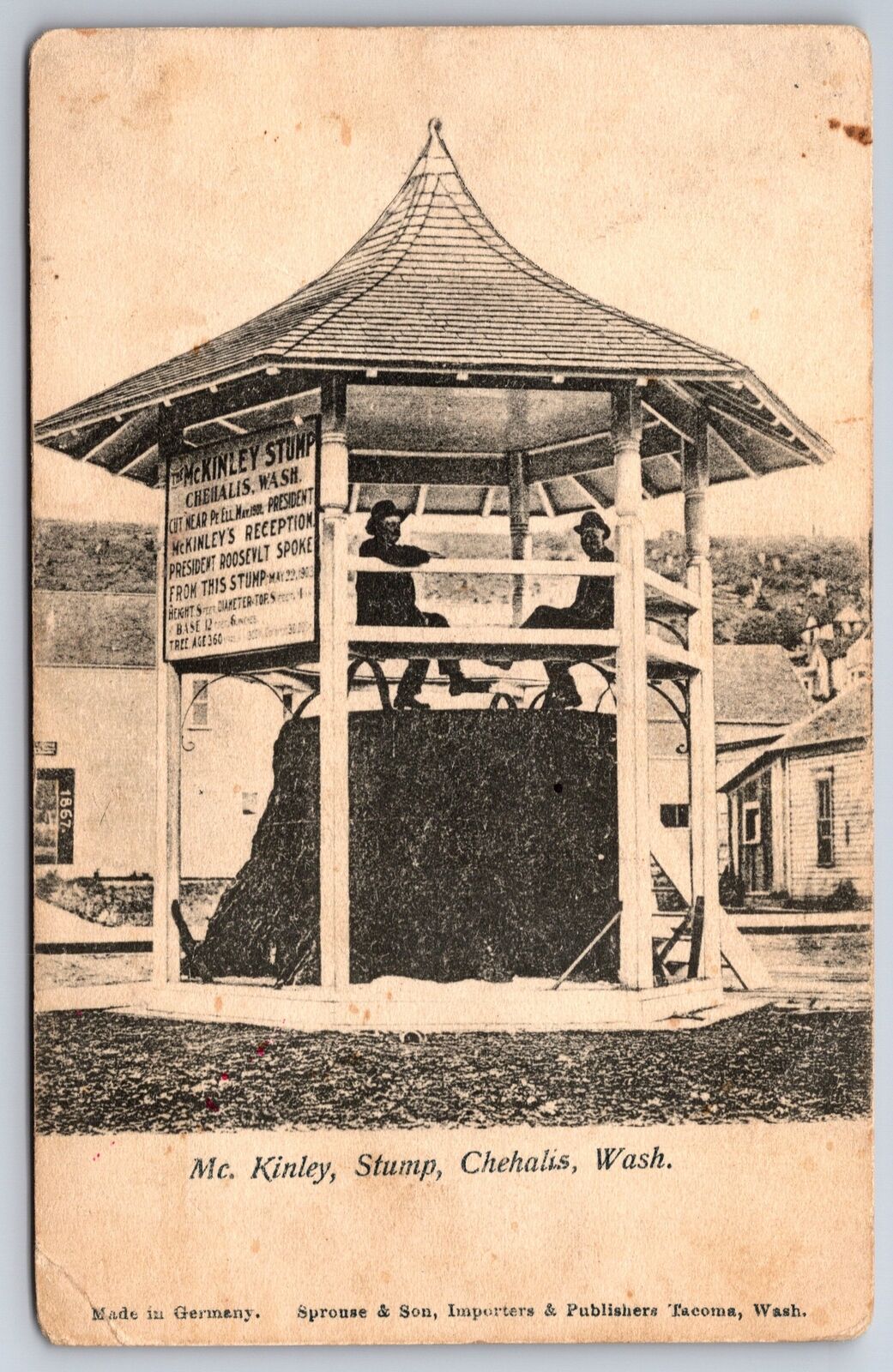 Chehalis Washington~McKinley Stump~Men in Gazebo~1908 B&W Postcard