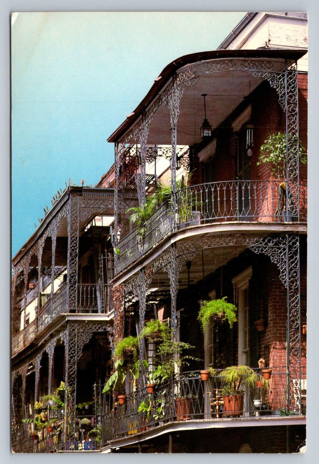 Postcard Louisiana New Orleans French Quarter Lace Balconies St Peter St  D626